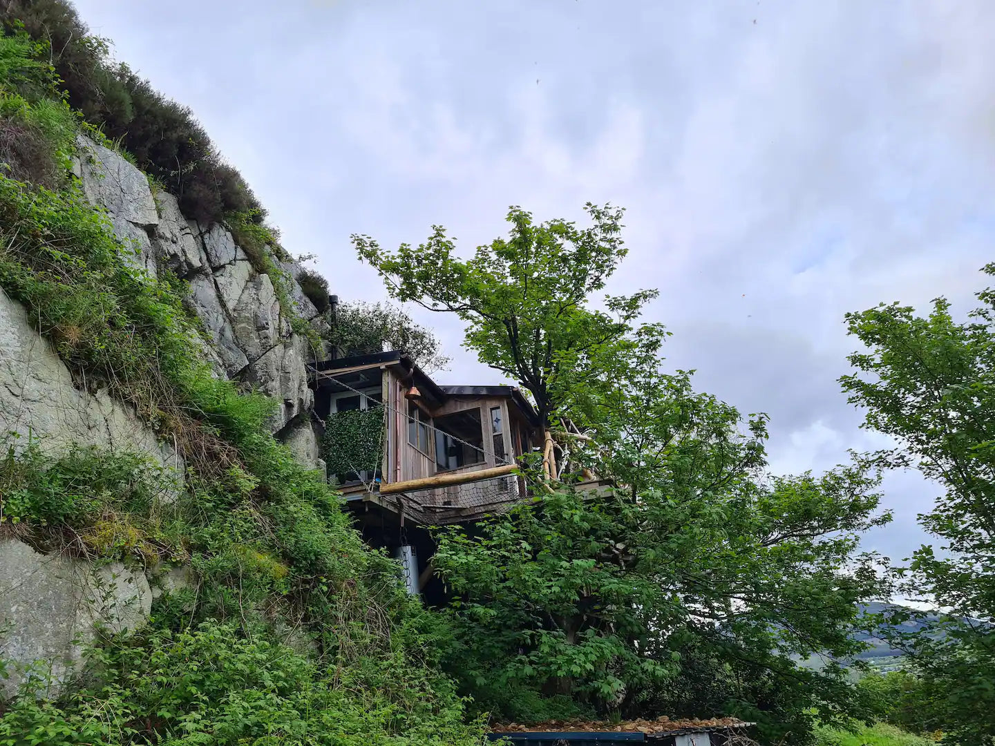 Irish Tree House