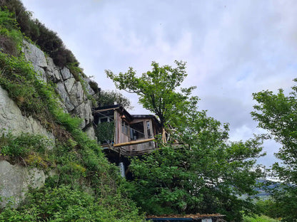 Irish Tree House