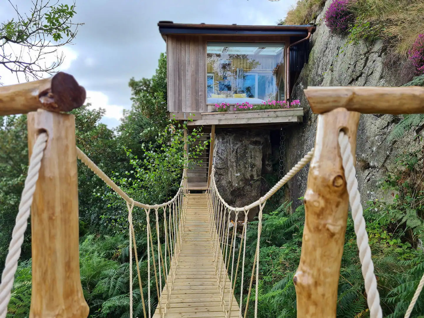 Irish Tree House