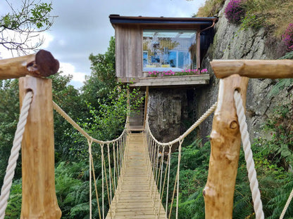 Irish Tree House