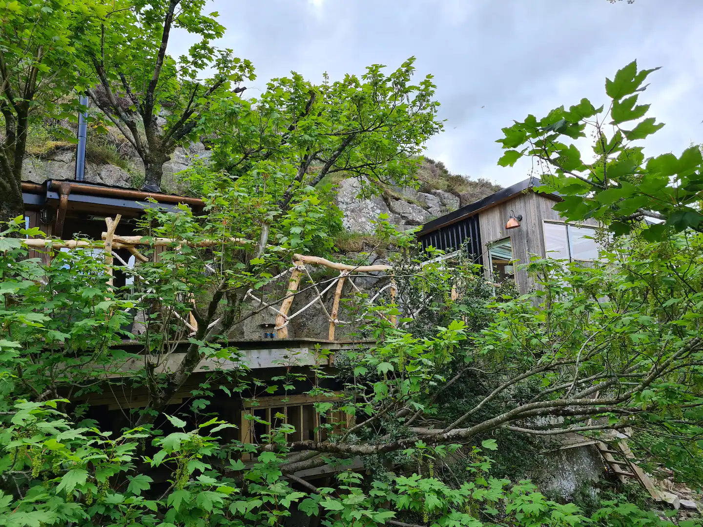 Irish Tree House